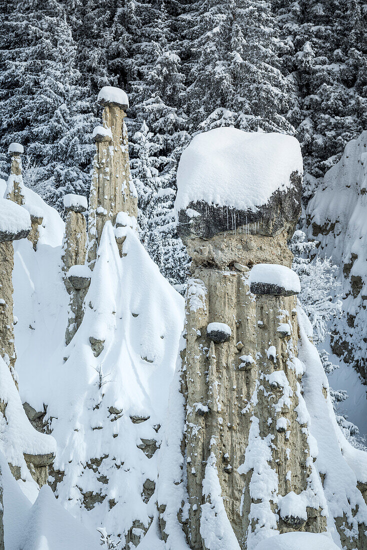 Perca/Percha, province of Bolzano, South Tyrol, Italy, Europe. Winter at the Earth Pyramids