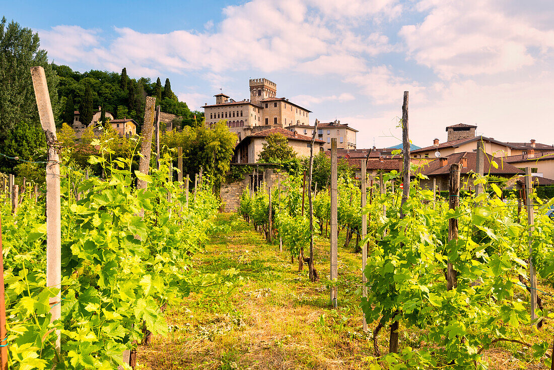 Costa di Mezzate castle, Bergamo Province, Lombardy district, Italy