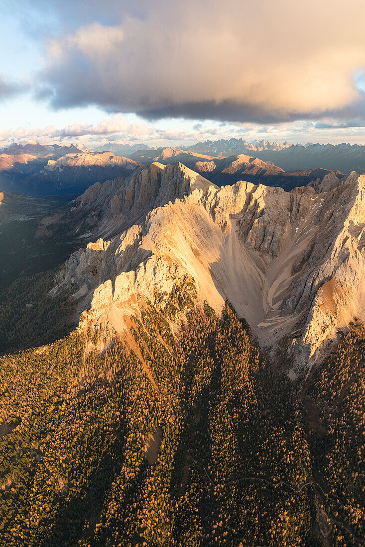 Aerial view of woods on the ridges of Latemar massif, Dolomites, South Tyrol, Italy