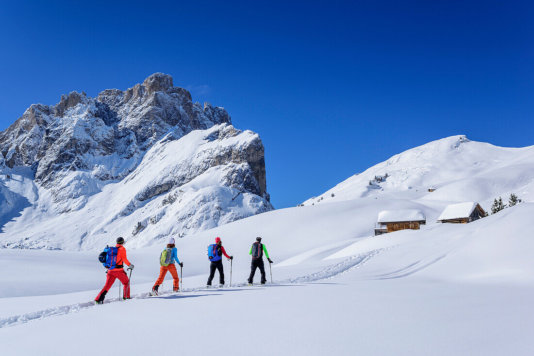 Several persons backcountry skiing ascending towards alpine huts, Geisler range in background, Medalges, Natural Park Puez-Geisler, UNESCO world heritage site Dolomites, Dolomites, South Tyrol, Italy