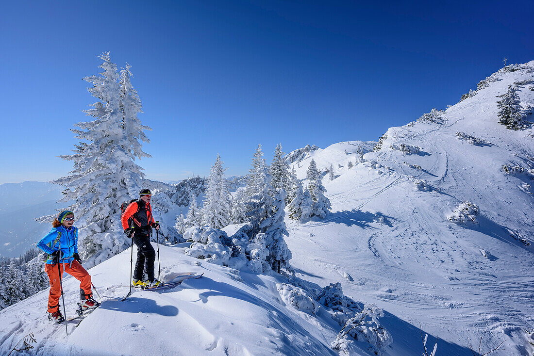 Zwei Personen auf Skitour stehen am Kamm des Wildalpjoch, Wildalpjoch, Bayerische Alpen, Oberbayern, Bayern, Deutschland