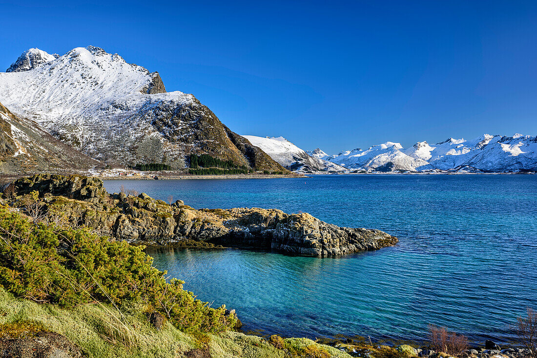 Coast with snow-covered mountains in background, Lofoten, Nordland, Norway