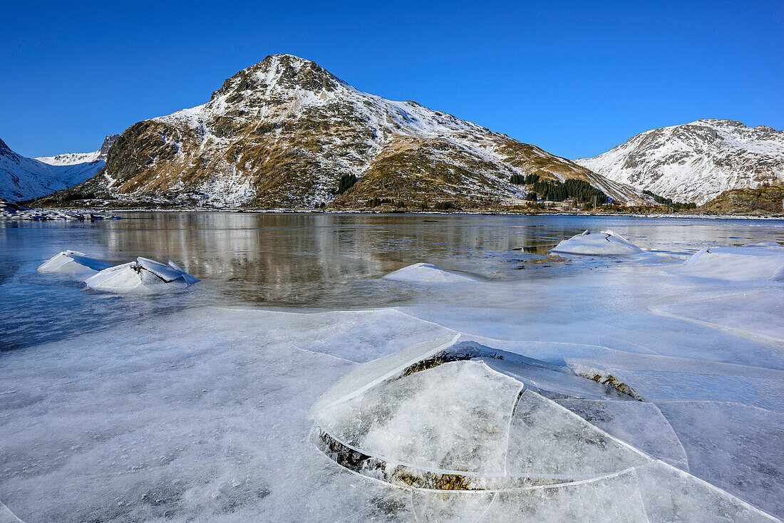 Eisschollen im Fjord mit verschneiten Bergen im Hintergrund, Lofoten, Nordland, Norwegen