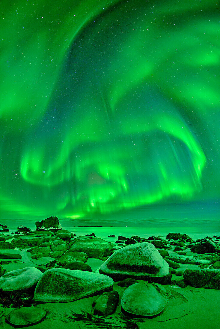 Strand mit Nordlicht und Sternhimmel, Polarlicht, Aurora borealis, Lofoten, Nordland, Norwegen