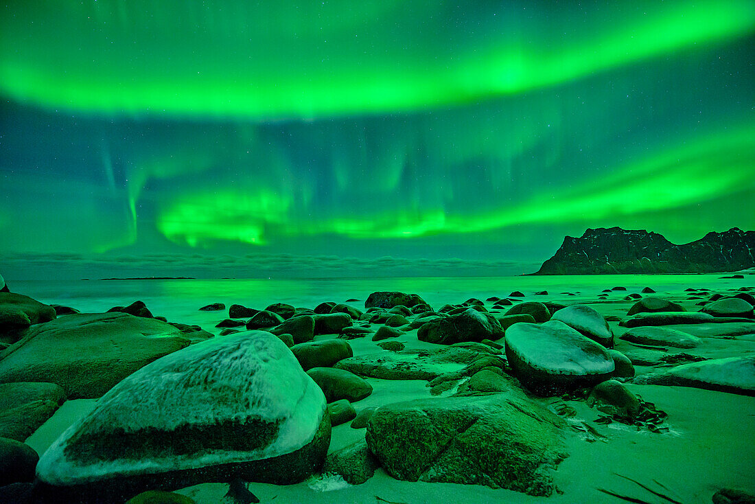 Strand mit Nordlicht und Sternhimmel, Polarlicht, Aurora borealis, Lofoten, Nordland, Norwegen