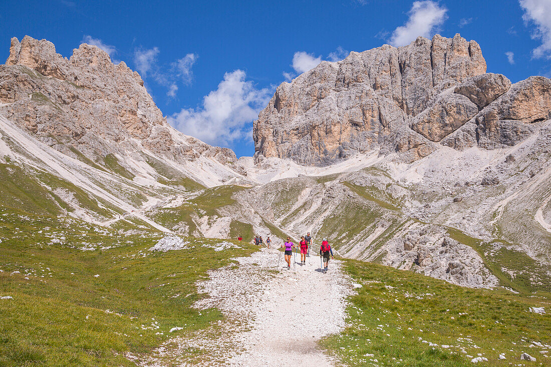 Vajolet valley and the Catinaccio group, Dolomites, Fassa valley, Val di Fassa, Pozza di Fassa, Trento Province, Trentino Alto Adige, Italy