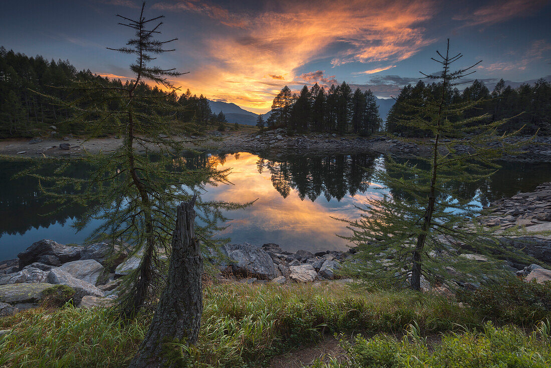 Two larches admire sunset on Lago Azzurro, Spluga valley, Sondrio province, Lombardy, Italy, Europe