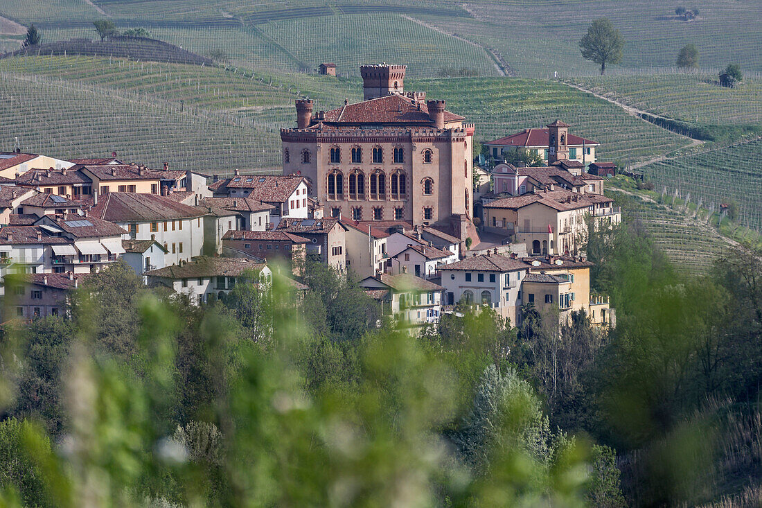 Langhe, Cuneo district, Piedmont, Italy. Langhe wine region spring, Barolo caste