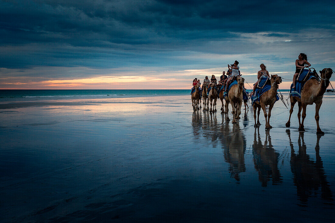 Camel tour ride at Cable Beach, Broome, Kimberley, Western Australia