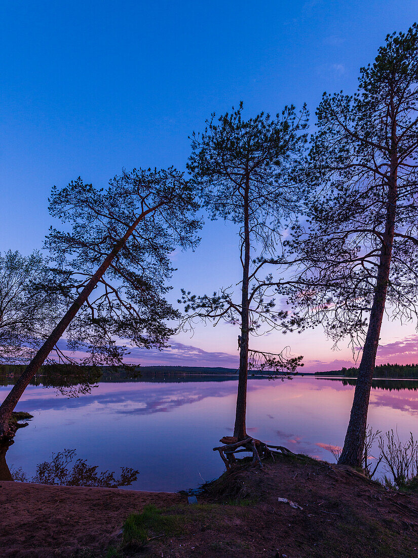 Nachtstimmung am Norvajärvi See, nördlich von Rovaniemi, Finnland