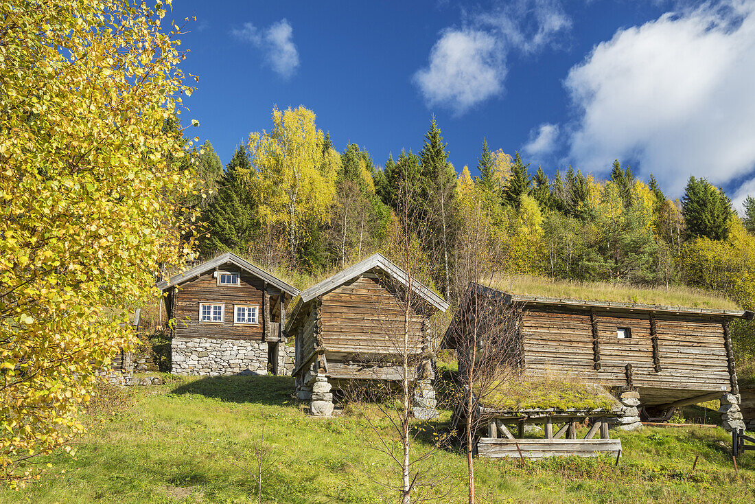 Alter Bauernhof bei Svartdal, Telemark, Østlandet, Südnorwegen, Norwegen, Skandinavien, Nordeuropa, Europa