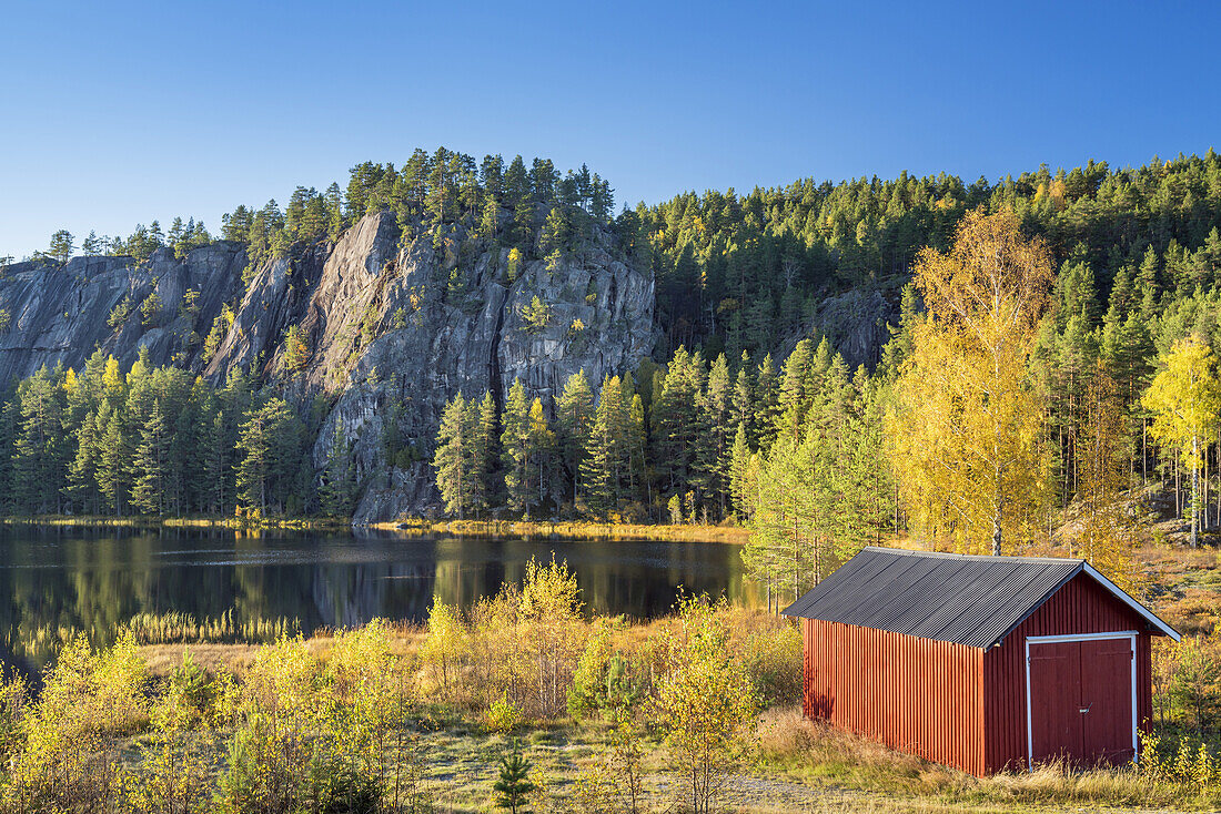 Herbst am See Eidstjønn, Treungen, Nissedal, Telemark, Østlandet, Südnorwegen, Norwegen, Skandinavien, Nordeuropa, Europa