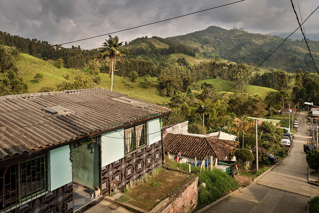 grüne Berglandschaft mit Palme, Salento, UNESCO Welterbe Kaffee Dreieck (Zona Cafatera), Departmento Quindio, Kolumbien, Südamerika