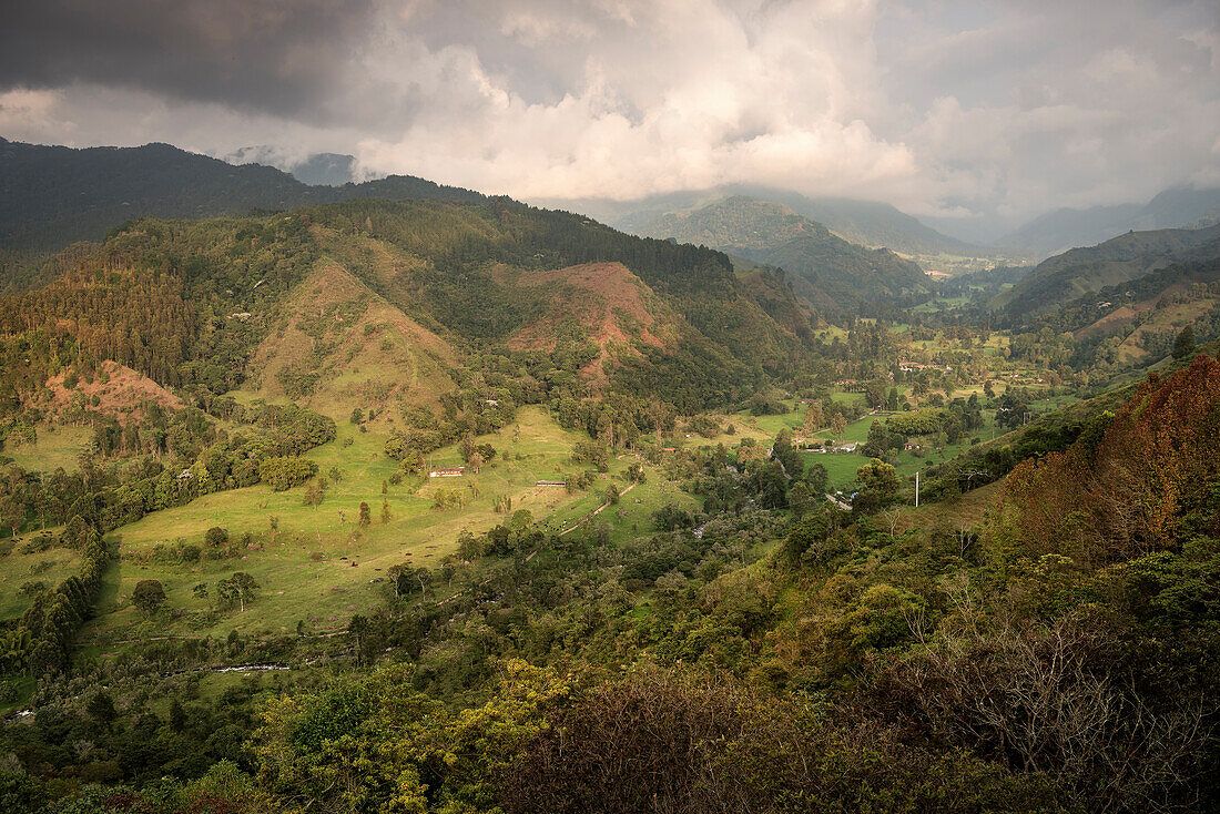 Blick von Salento in das Valle de Cocora, UNESCO Welterbe Kaffee Dreieck (Zona Cafatera), Departmento Quindio, Kolumbien, Südamerika
