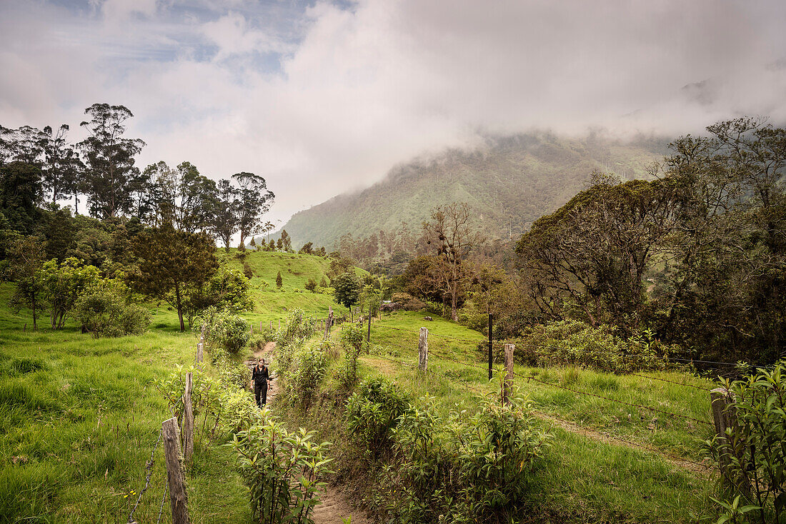 Wanderin im Valle del Cocora, Salento, UNESCO Welterbe Kaffee Dreieck (Zona Cafatera), Departmento Quindio, Kolumbien, Südamerika