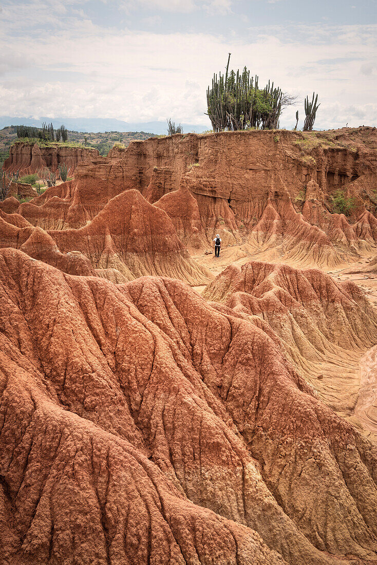 visitors are walking through the surreal landscape at Tatacoa desert (Desierto de la Tatacoa), township Villavieja nearby Neiva, Departmento Huila, Colombia, Southamerica