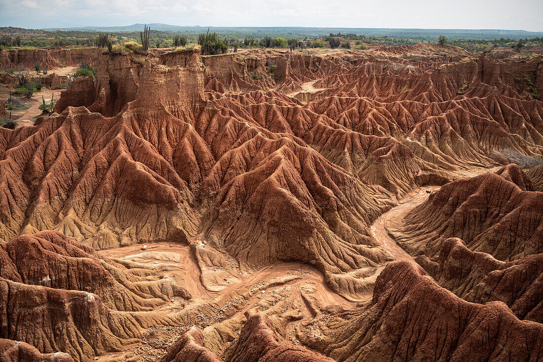 surreale Landschaft in Tatacoa Wüste (Desierto de la Tatacoa), Gemeinde Villavieja bei Neiva, Departmento Huila, Kolumbien, Südamerika