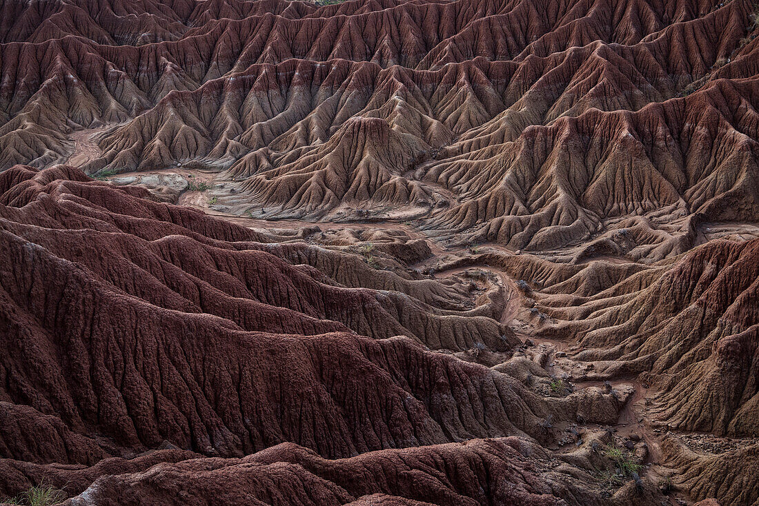 surreal landscape at Tatacoa desert (Desierto de la Tatacoa), township Villavieja nearby Neiva, Departmento Huila, Colombia, Southamerica