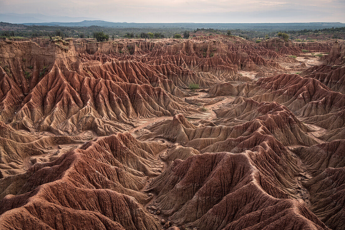 surreale Landschaft in Tatacoa Wüste (Desierto de la Tatacoa), Gemeinde Villavieja bei Neiva, Departmento Huila, Kolumbien, Südamerika