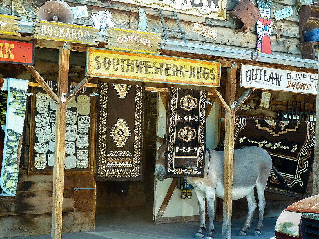 Esel vor einem Saloon an der Route 66, Kalifornien, USA