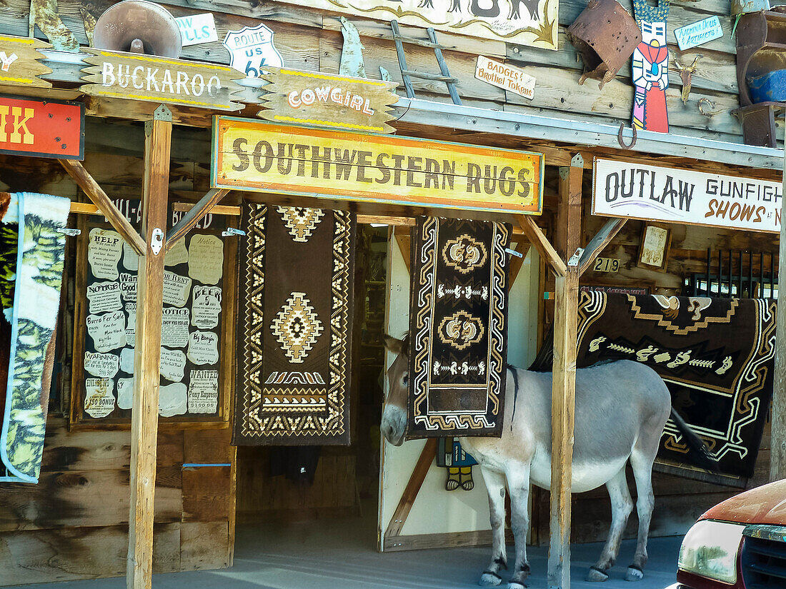 donky in front of a saloon, Route66, California, USA