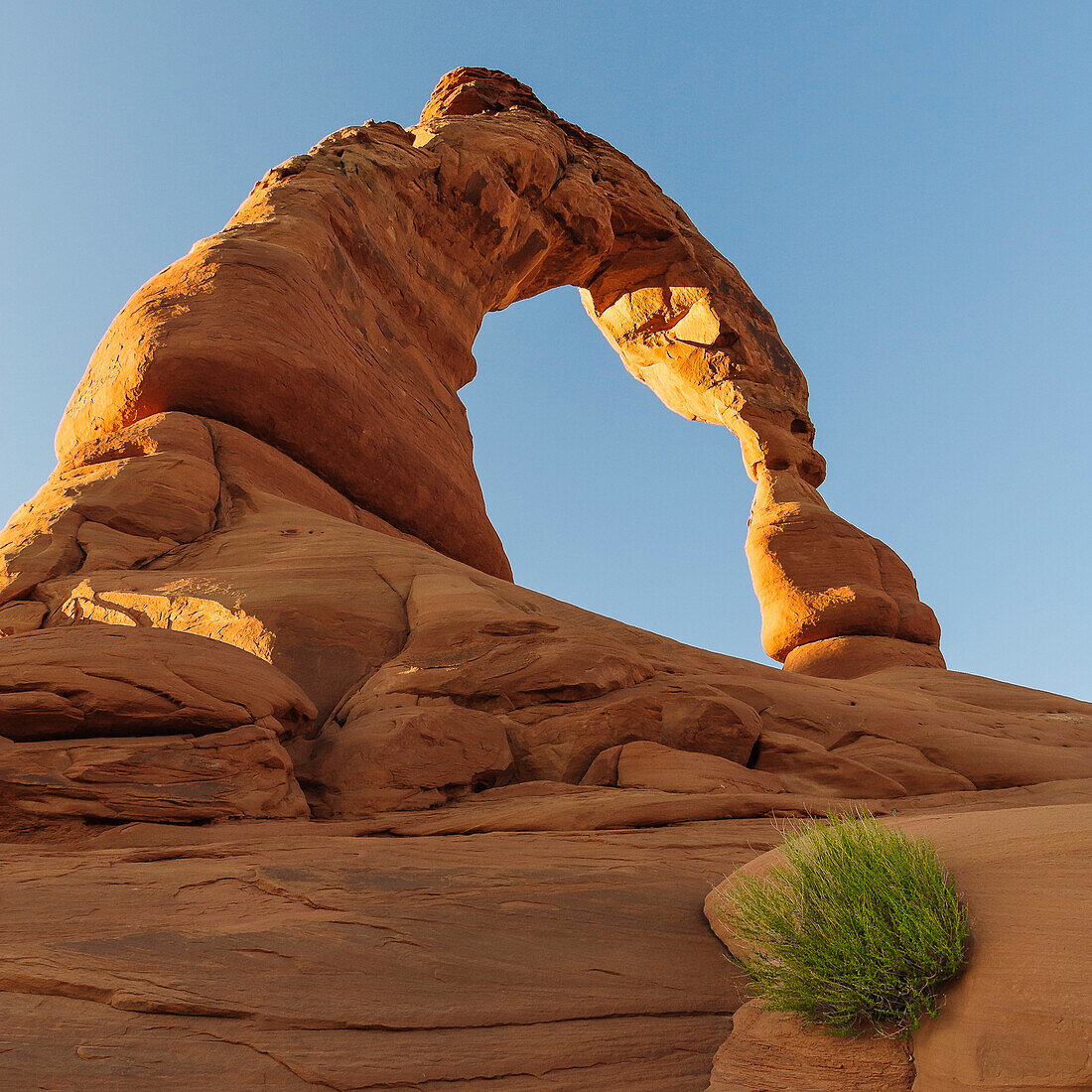 Delicate Arch, Arches National parc, Utah, USA