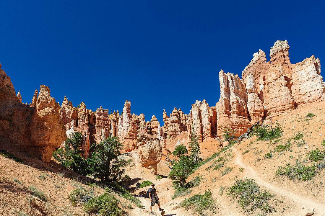 Hoodoos in Bryce Canyon, Utah, USA