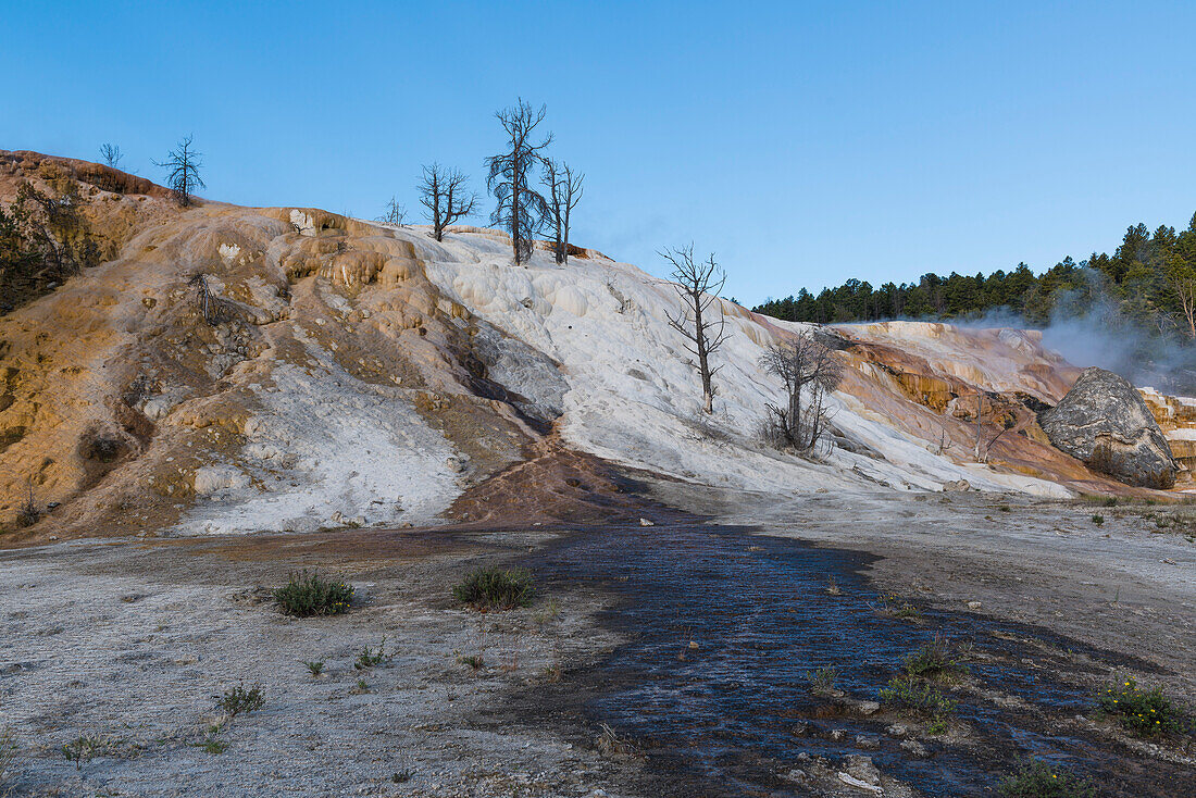 Roaring mountain, Yellowstone National parc, Wyoming, USA