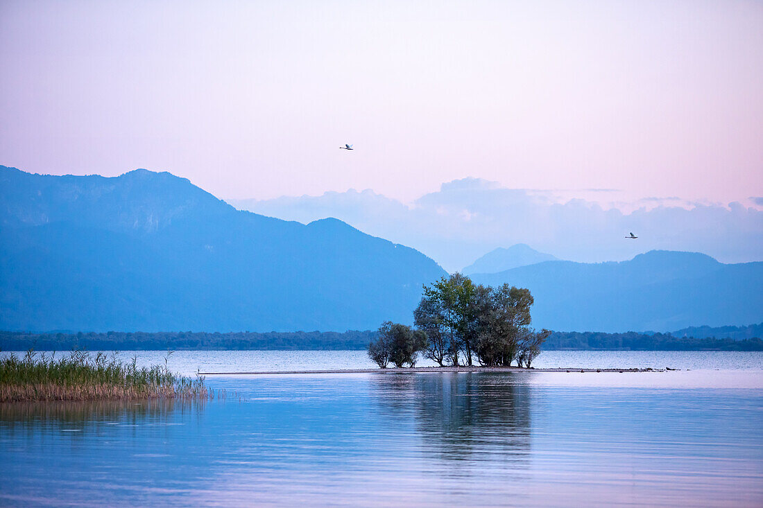 View over the Lake Chiemsee in SCHUT zing with small island and mountain panorama; evening mood in late summer