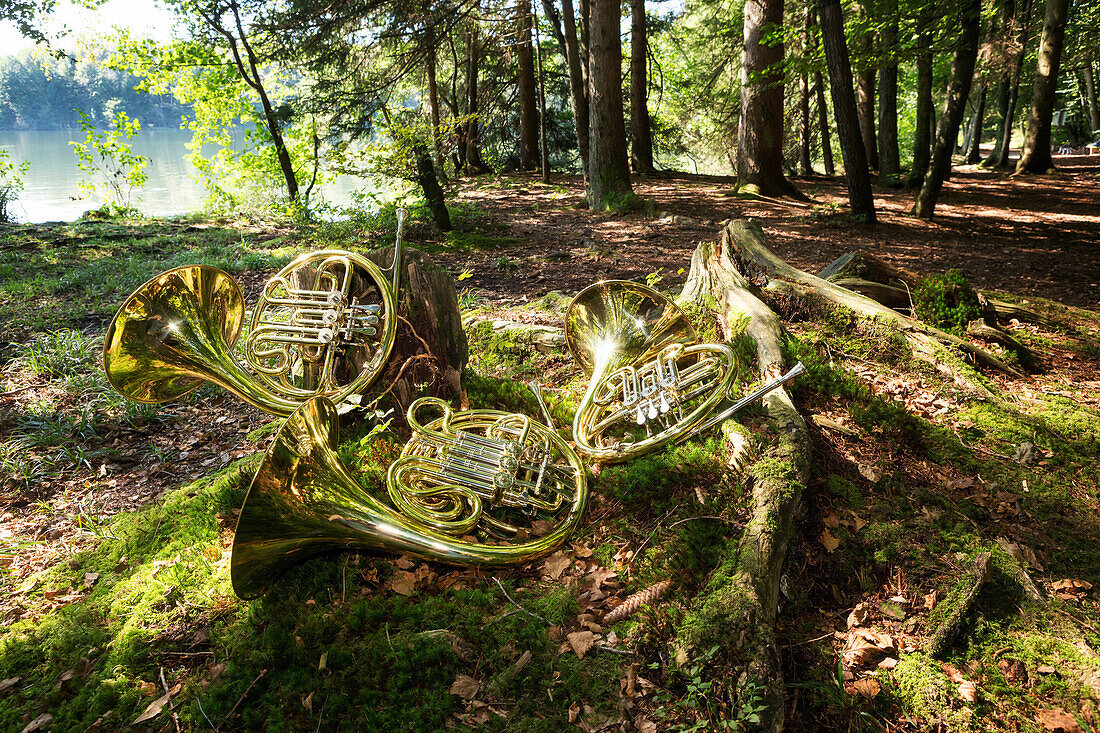 Blechblasinstrumente / Waldhörner liegen auf Baumstöcken und Moos im Wald an einem See