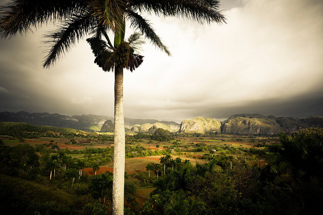 Ausblick, Valle de Vinales, UNESCO Nationalpark, Pinar del Rio, Kuba, Karibik, Lateinamerika, Amerika