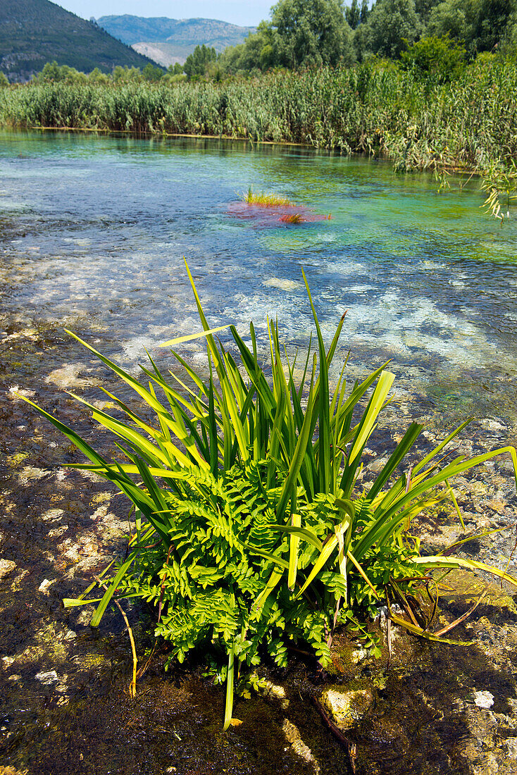 The source of the Pescara River near the town of Populi