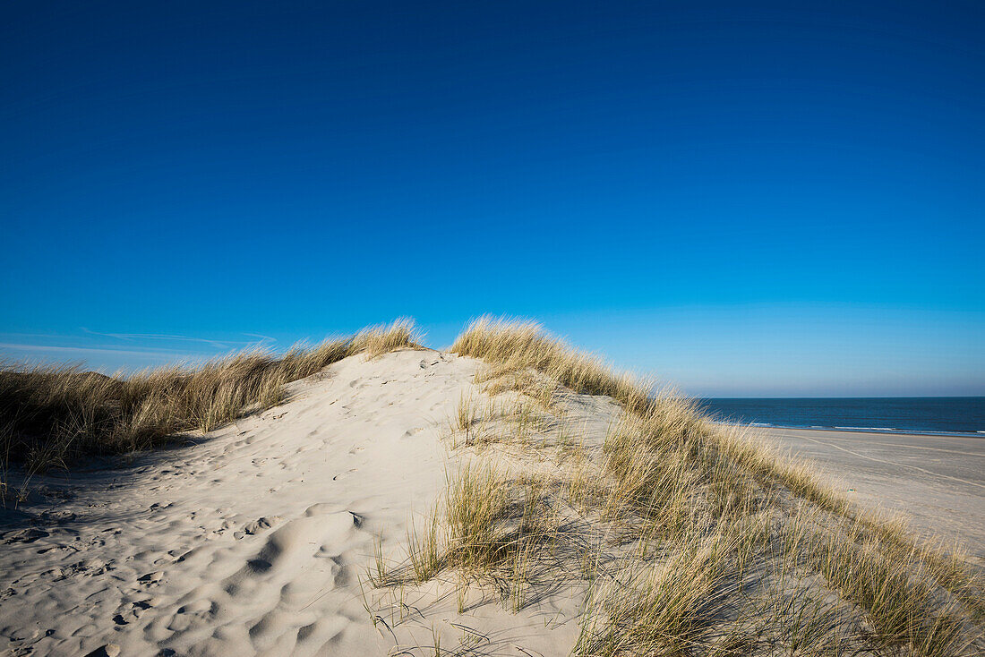 Weg zum Strand durch Dünen im Winter, Ostfriesische Inseln, Spiekeroog, Niedersachsen, Nordsee, Deutschland