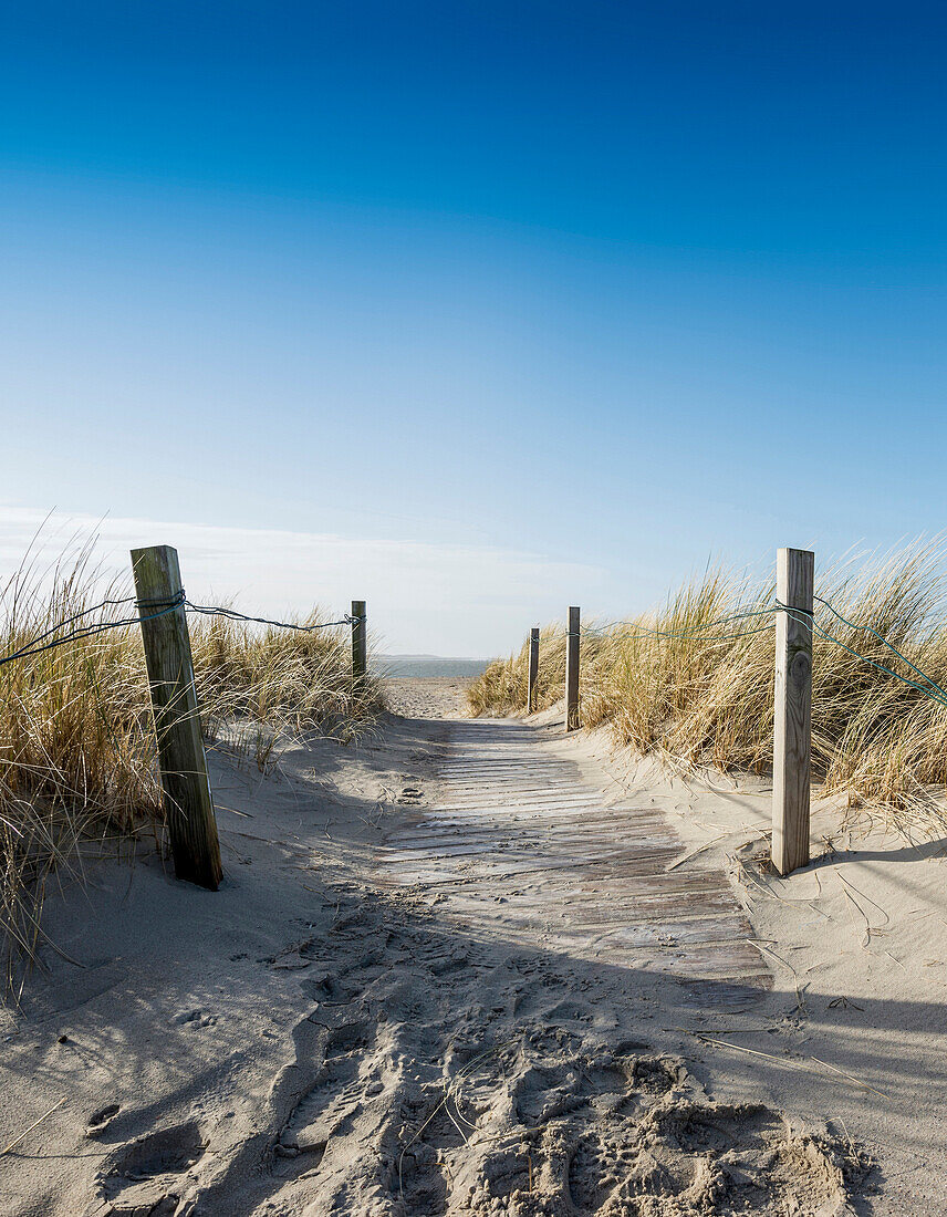 Trail to the beach through dunes in winter, East Frisian Islands, Spiekeroog, Lower Saxony, North Sea, Germany