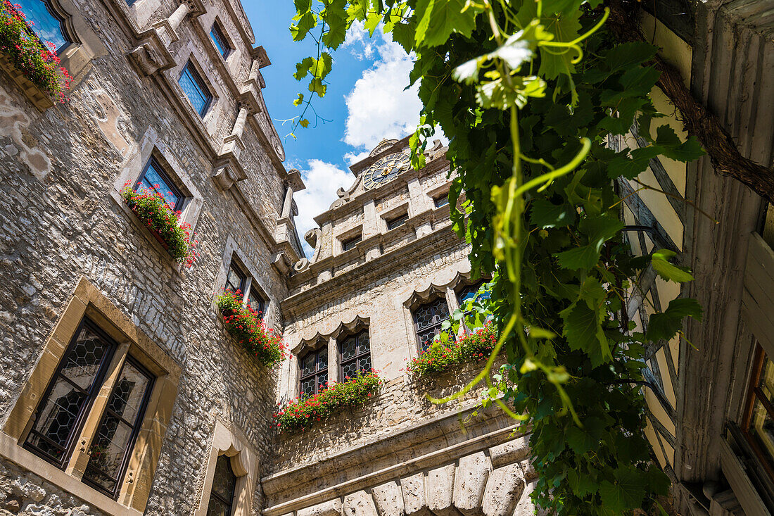 Maintor with wine, Marktbreit, Franconia, Bavaria, Germany