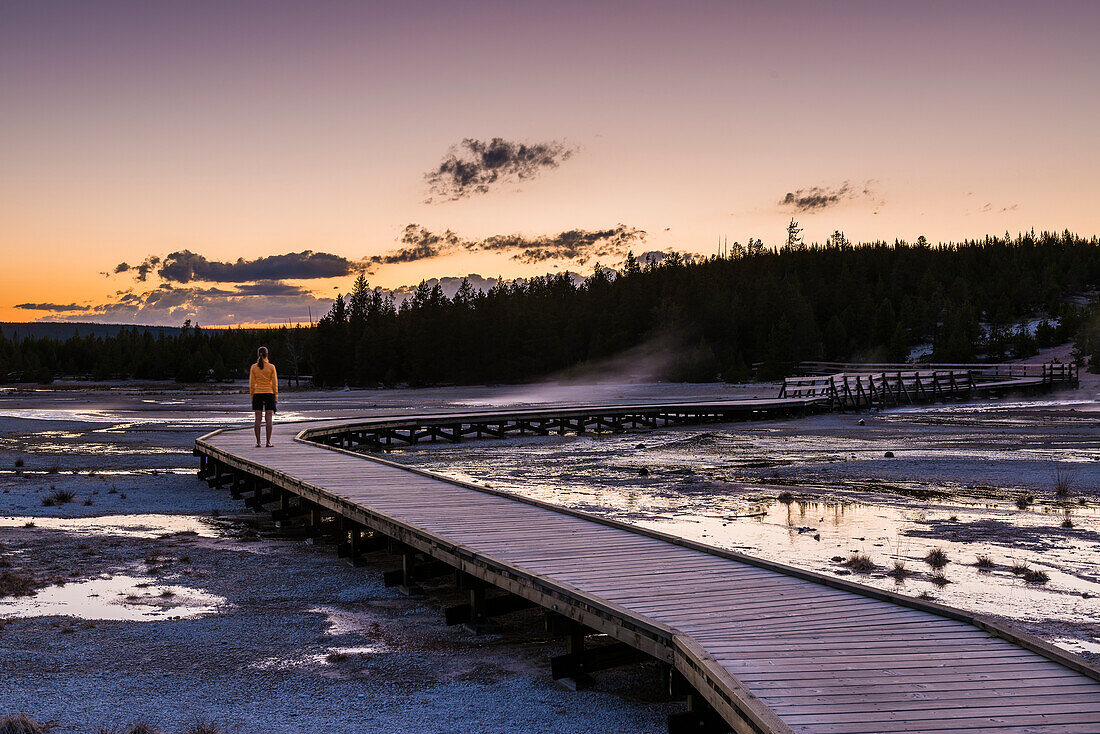 Sonnenuntergang im Norris Geyser Basin, Yellowstone Nationalpark, Wyoming, USA