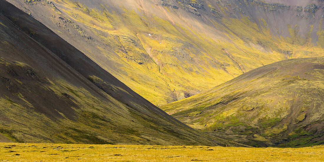 Licht und Schatten auf den Hügeln  bei Djupivogur, Ostfjorde, Island