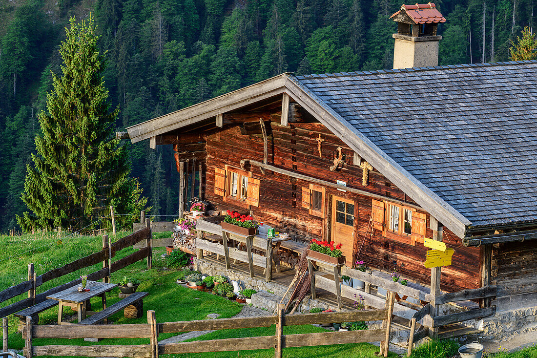 Alpine hut Neuhuettenalm, Seebergkopf, Mangfall Mountains, Bavarian Alps, Upper Bavaria, Bavaria, Germany