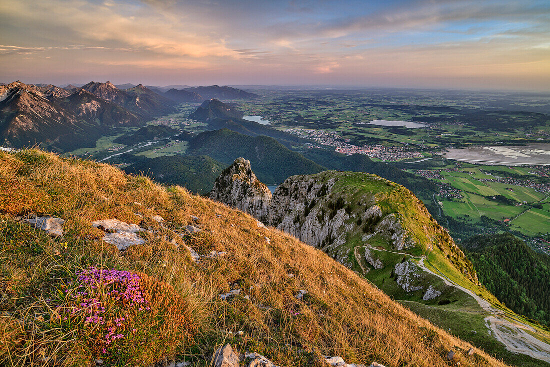 Tannheimer Berge, Füssen, Weißensee und Hopfensee, vom Säuling, Ammergebirge, Ammergauer Alpen, Oberbayern, Bayern, Deutschland