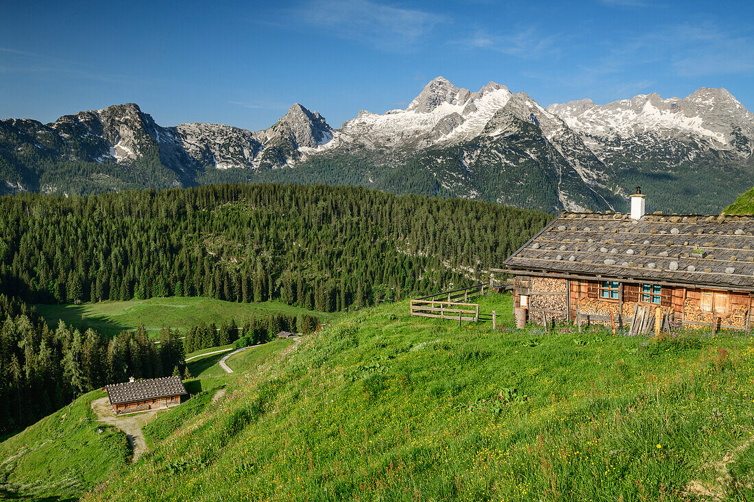 Several alpine huts with Birnhorn in Leogang Mountains, Kallbrunnalm, Berchtesgaden Alps, Salzburg, Austria