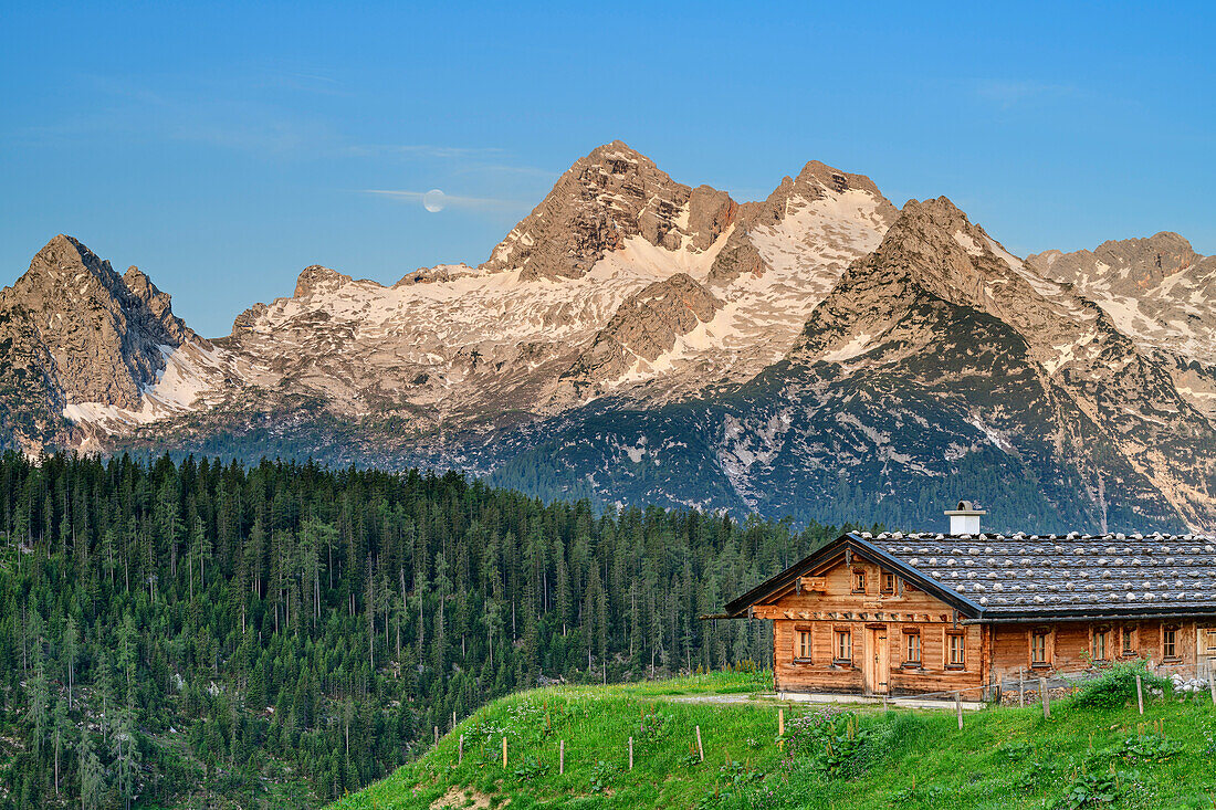 Alpine hut Kallbrunnalm with Birnhorn in Leogang Mountains, Kallbrunnalm, Berchtesgaden Alps, Salzburg, Austria