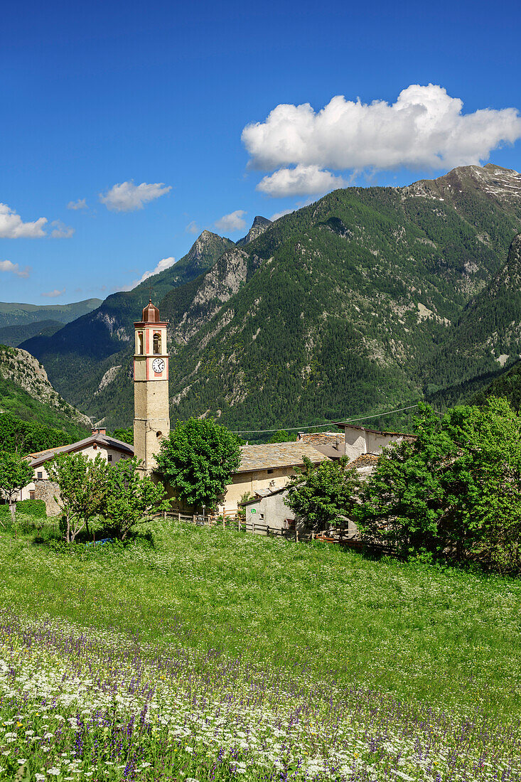 Blumenwiese mit Bergdorf im Hintergrund, Val Maira, Cottische Alpen, Piemont, Italien