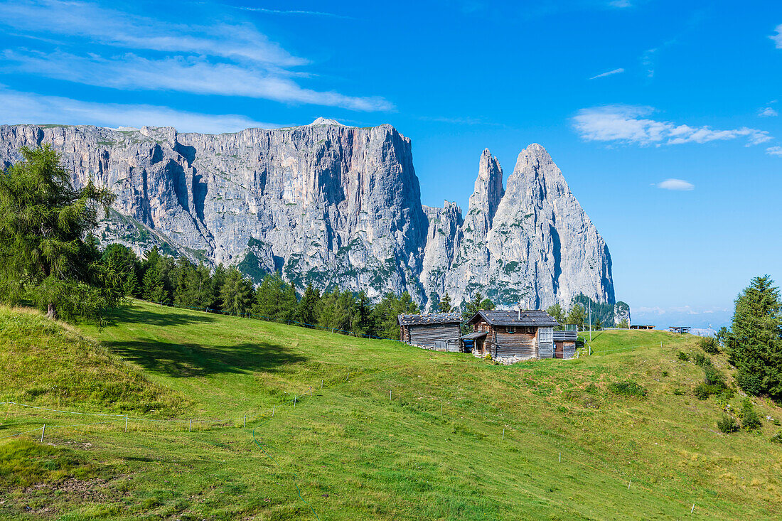 Wooden huts in front of the Schlern Mountains, Compatsch, Alpe di Siusi, South Tyrol, Italy