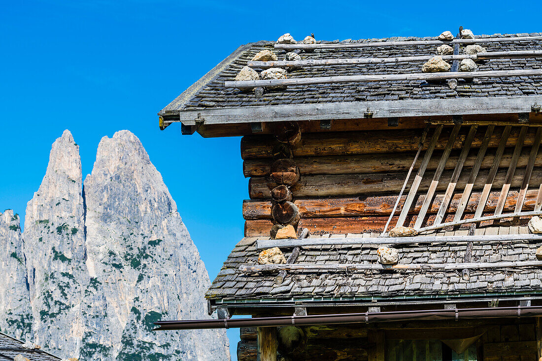 Wooden hut in front of the Schlern Mountains, Compatsch, Alpe di Siusi, South Tyrol, Italy