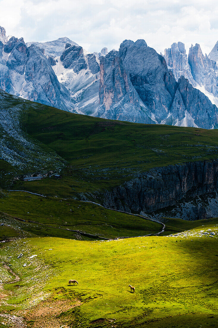 Rosengarten and Schlern Mountains, Compatsch, Alpe di Siusi, South Tyrol, Italy