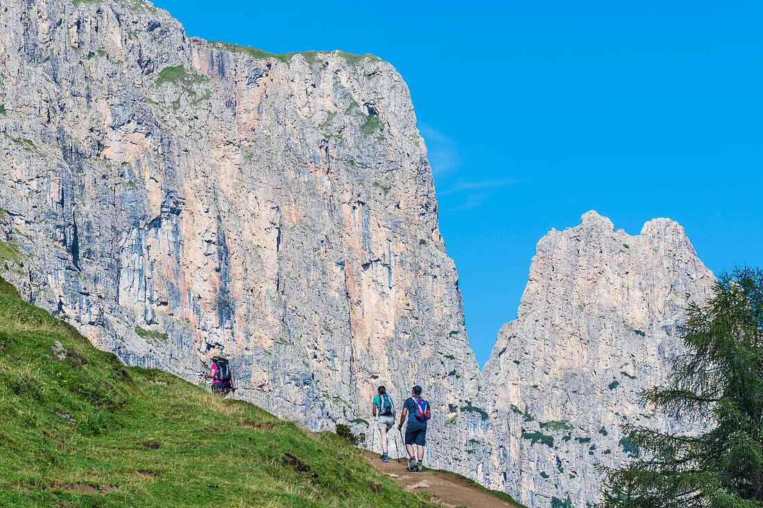 Hikers in front of the Schlern Mountains, Compatsch, Alpe di Siusi, South Tyrol, Italy