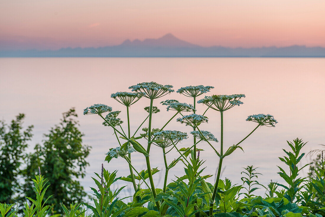 sunset above the Alaska Mountain Range, Alaska, USA