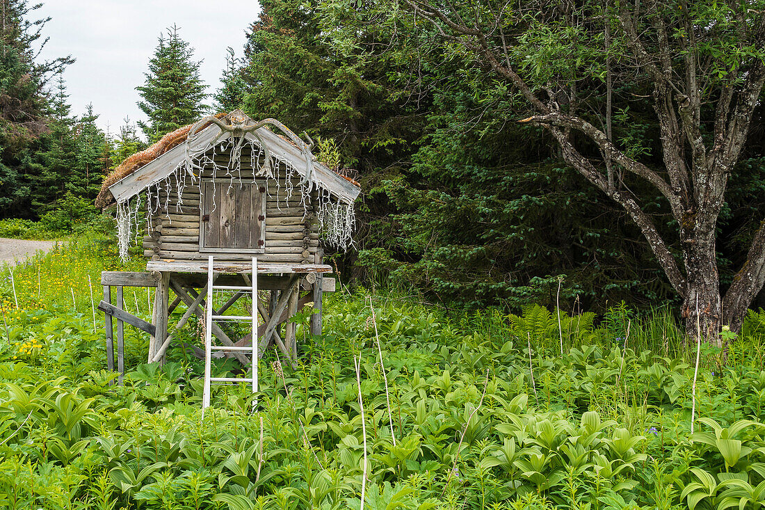 Holzhütte bei Homer, Kenai Halbinsel, Alaska, USA