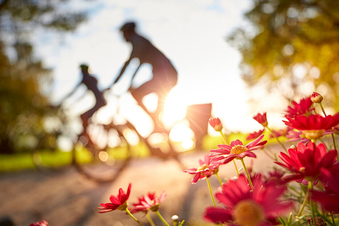 Paar auf Tourenfahrrädern, Blumen im Vordergrund