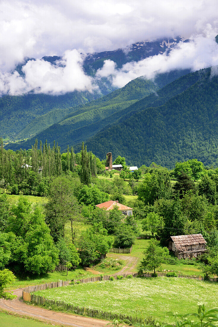 bei Mestia im Großen Kaukasus, West- Georgien